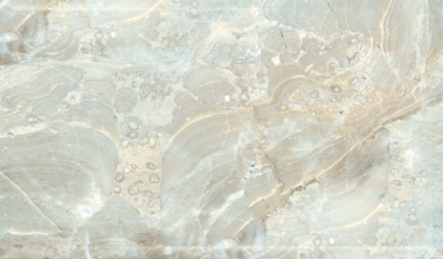 450x300 MM GLossy Finish Wall Tile