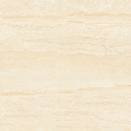 800x800 MM Digital PGVT & GVT