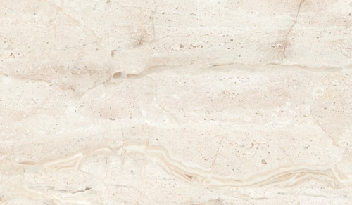 600x300 MM Glossy Finish Wall Tile