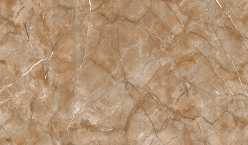 600x300 MM Glossy Finish Wall Tile