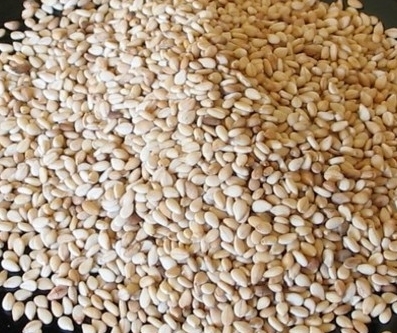 Indian Sesame Seeds