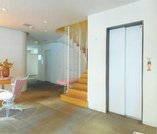 Designer Elevators Doors