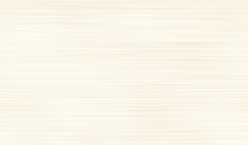 600x300 MM Glossy Finish Wall Tile