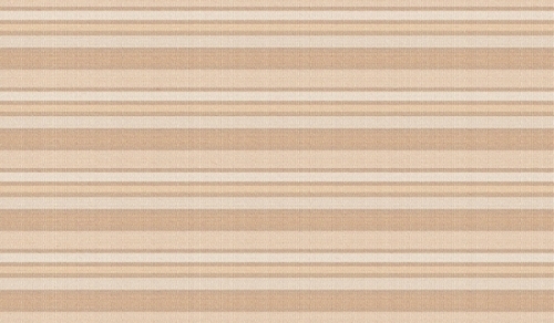 600x300 MM Glossy Finish Wall Tile