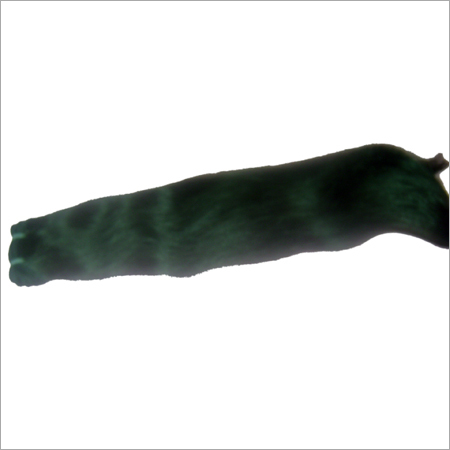 Processed Human Hair