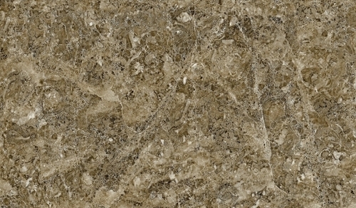 1215x605 MM Digital PGVT & GVT