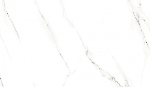 1215x605 MM Digital PGVT & GVT