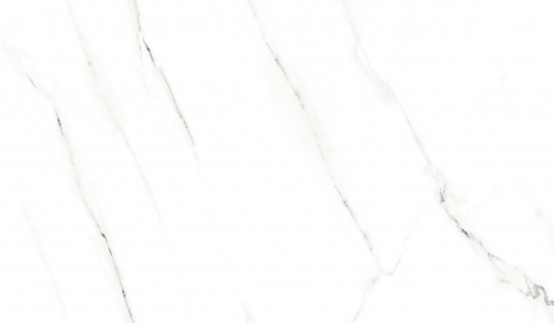 1215x605 MM Digital PGVT & GVT