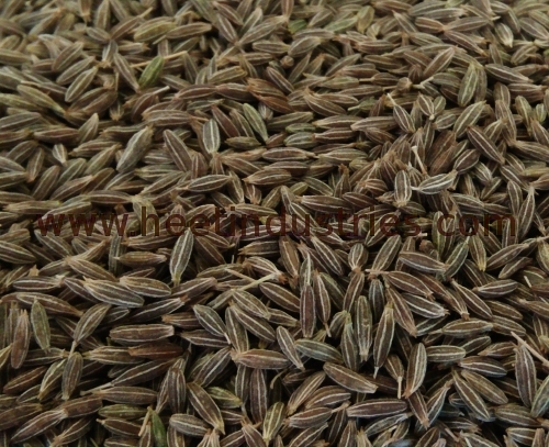 Toasted Cumin Seeds