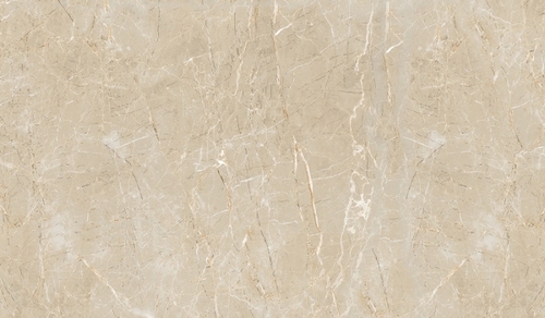 1215x605 MM Digital PGVT & GVT