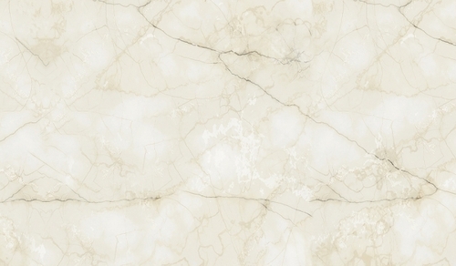 1215x605 MM Digital PGVT & GVT