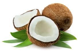 Fresh Coconut - Hard Shell, Variable Size | High Nutrition, Long Shelf Life, Natural Freshness
