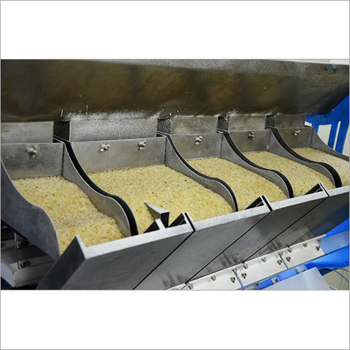 IR64 Rice