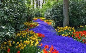 Potted Flowers