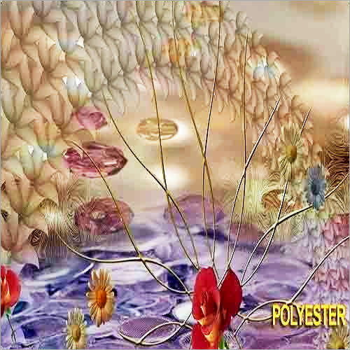 Polyester Direct Digital Printing Services