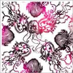 Canvas Digital Printing Services