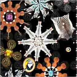 Fabric Digital Printing Services