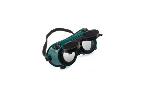 Safety Goggles G250