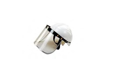 Face Shield
