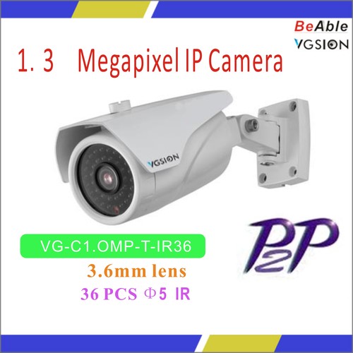720P Indoor & Outdoor IP Camera