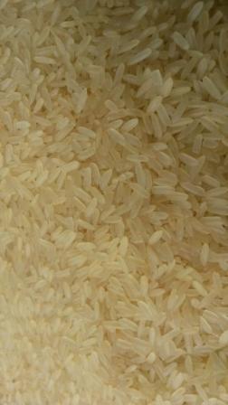 RATNA RICE