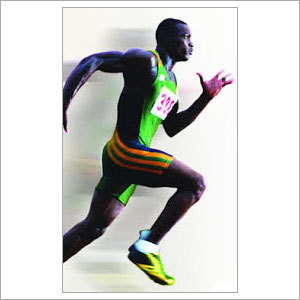 Sports Wear Fabric