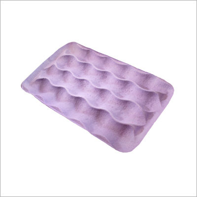 Disposable Apple Trays