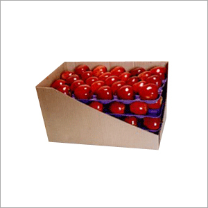 Paper Apple Tray