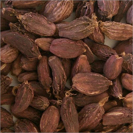 Large Cardamom