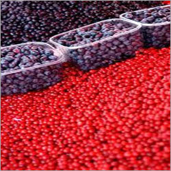 Phalsa Berries