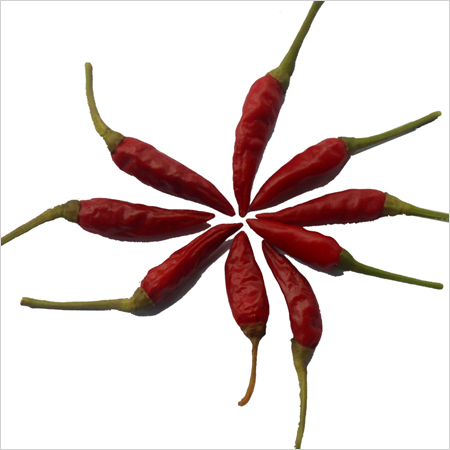Dry Red Chilli