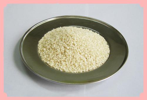 Indian Hulled Sesame Seeds - White Color, Purity 99.9%, Oil Content 48% Min, FFA Below 2% | Food-Grade, Natural, Moisture 8% Max, 5% Max Admixture, Packed in PP Bags