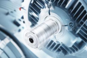 Manual Low Voltage Motors