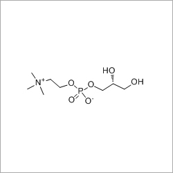 Choline Glycerophosphate