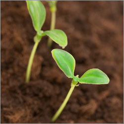 Agricultural Fertilizer