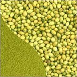 Coriander Powder