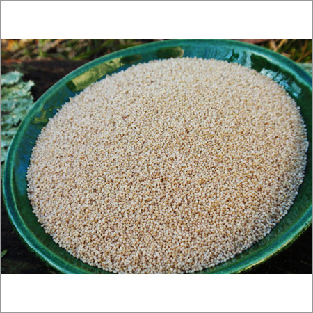 Poppy Seeds
