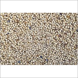 White Poppy Seeds