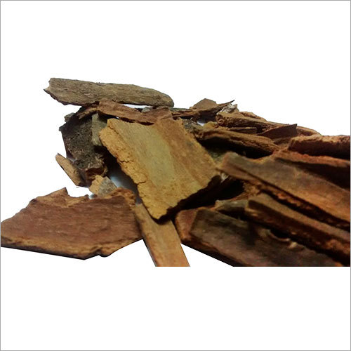 Cinnamon Seeds