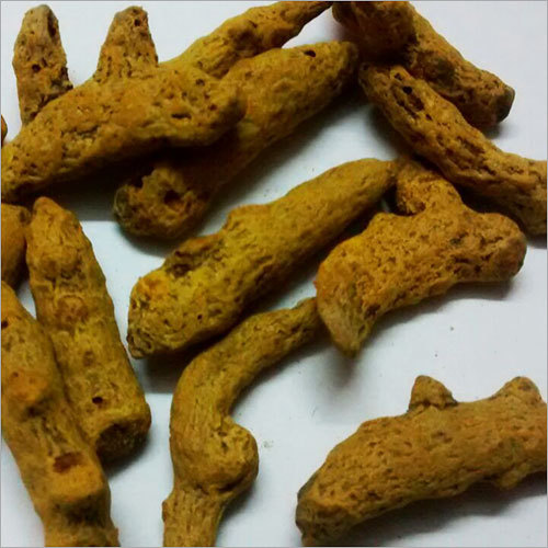 Turmeric Roots