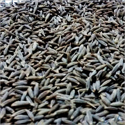 Cumin Seed