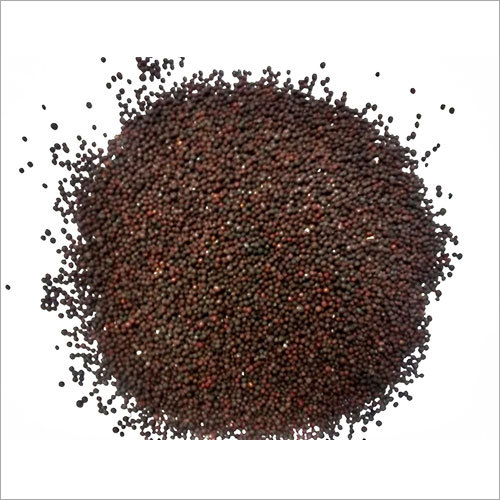 Mustard Seeds