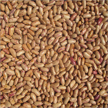 Jammu Rajma
