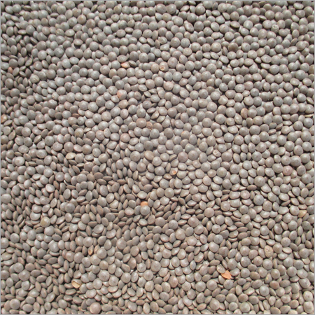Black Masoor Dal