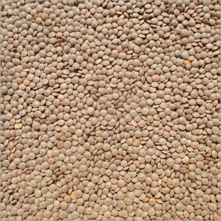 Masoor Malka Dal