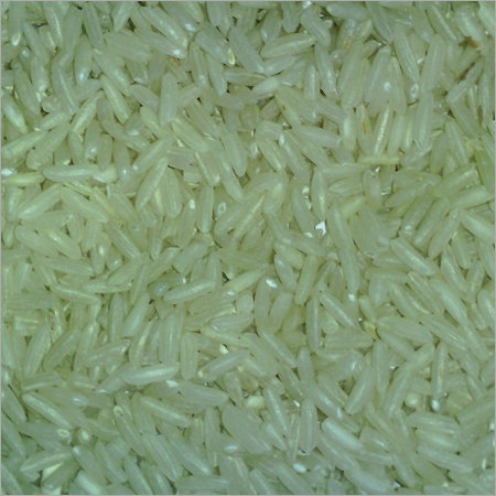 Paddy Rice