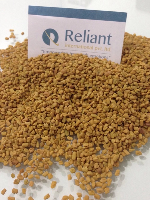 Fenugreek Seeds