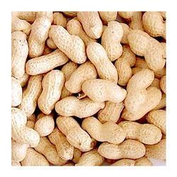 Ground Nut Shell