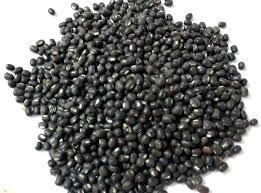 Black Grams/Urad