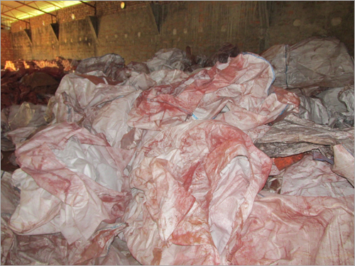 PP Bags Scrap